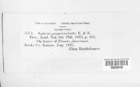 Image Associated With the Occurence